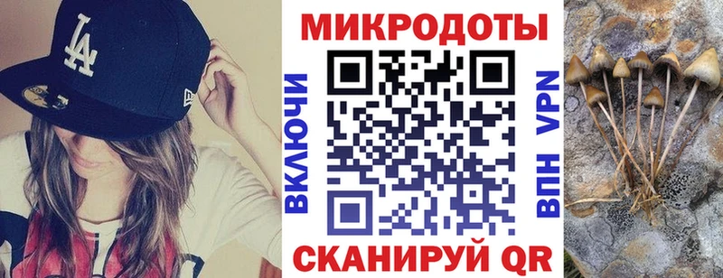 Купить где  Геленджик  Галлюциногенные грибы Psilocybine cubensis 